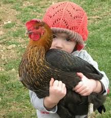 This is the beast backyard chicken coop for any breeds.