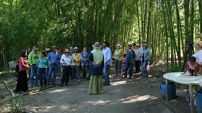 Geoff Lawton Zaytuna Pond