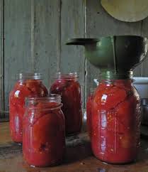 Canning Funnel Tomatoes