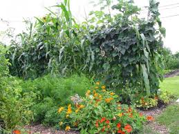 Diverse French Garden