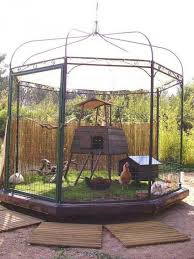 Gazebo for Backyard Chickens