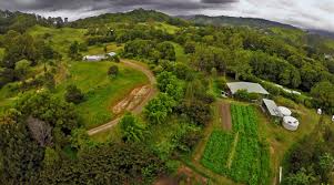 Geoff Lawton Thriving Farm