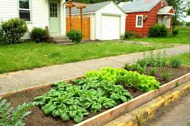 Urban Garden Parking Strip