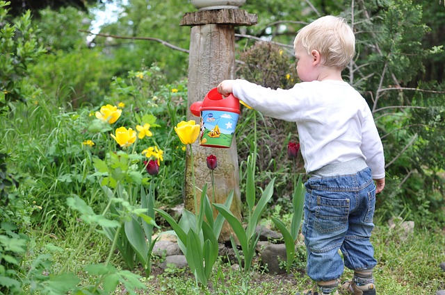 Starting a Garden with Kids