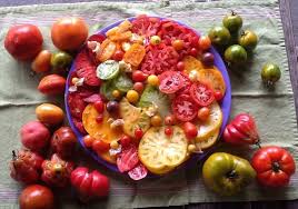 Variety of Delicious Tomatoes