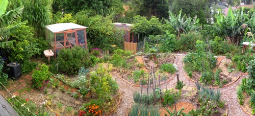 Urban Garden Food Forest