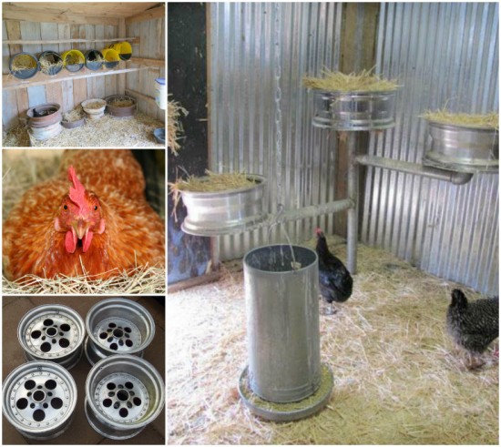 Chicken Nesting Boxes Wheel Rims