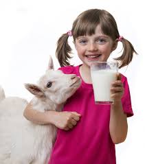 Goat Dairy for Kids