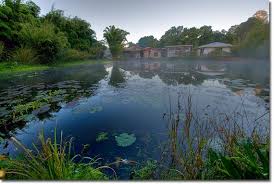 Geoff Lawton Zaytuna Pond