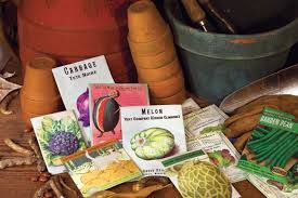 Organic Vegetable Seeds Online